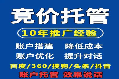 落地页在SEM优化中的重要性及成功案例